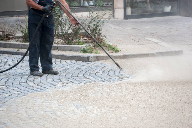 Best Warehouse Cleaning  in Lincolnia, VA