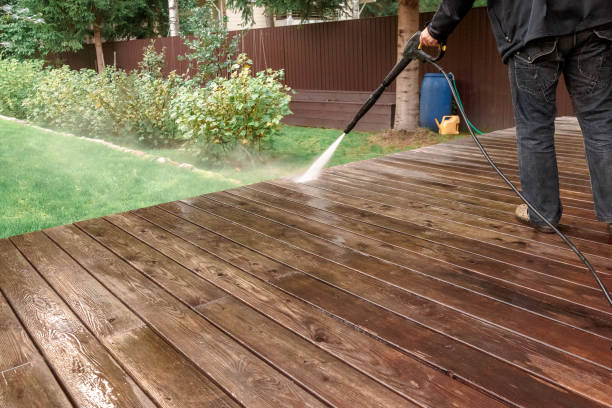 Animal Enclosure Cleaning in Lincolnia, VA