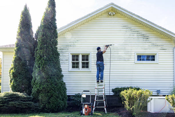 Best Restaurant Pressure Washing  in Lincolnia, VA